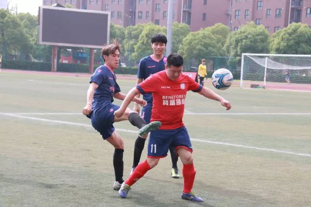 APP下载